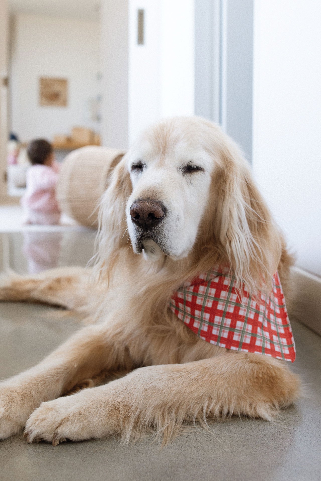 Bandana Red Tartan