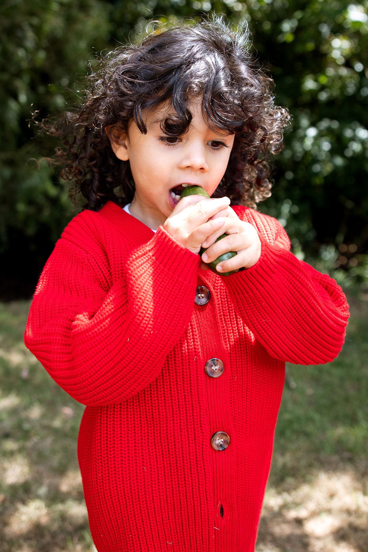 Chunky Knit Cardigan Red