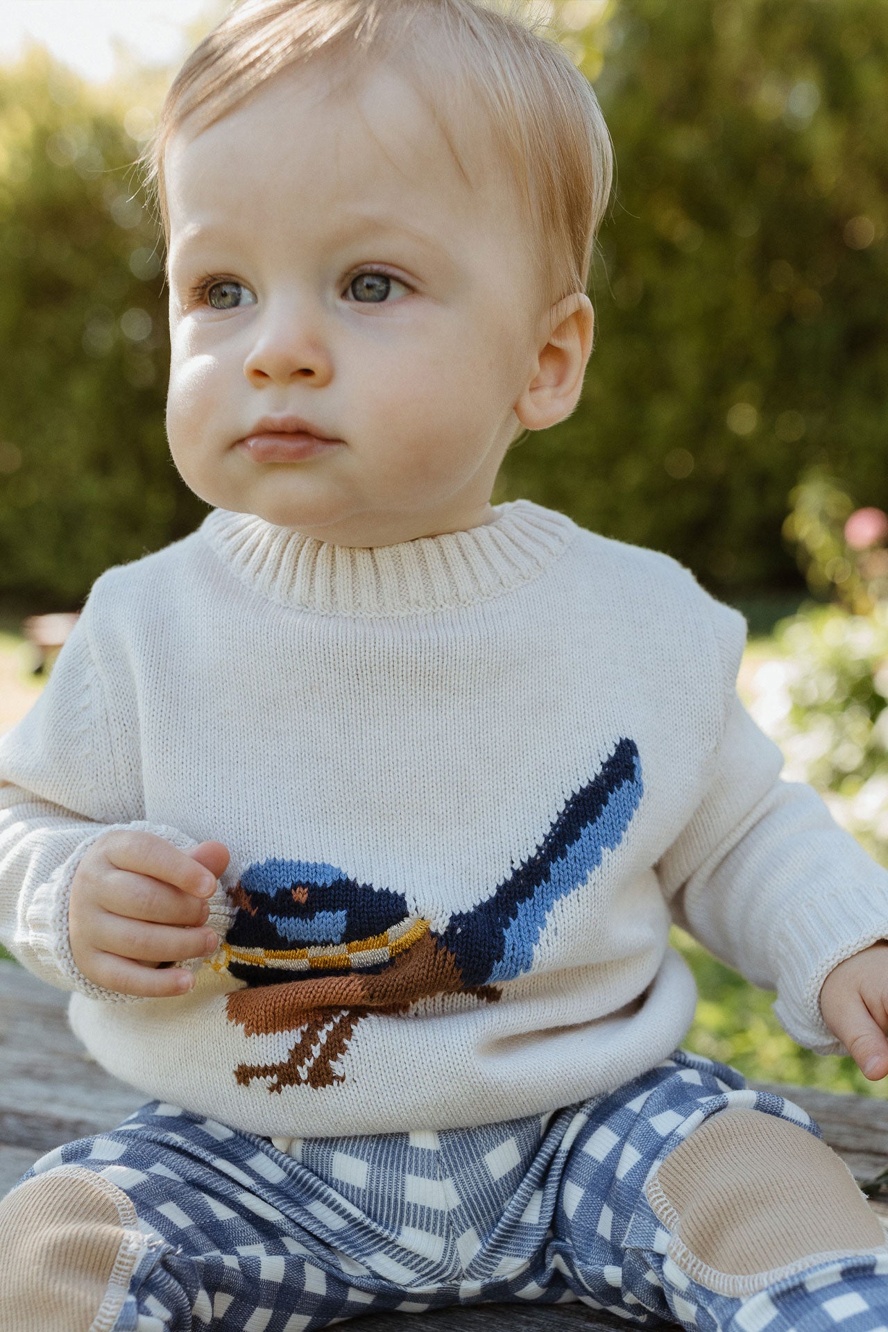 Knitwear Toddler